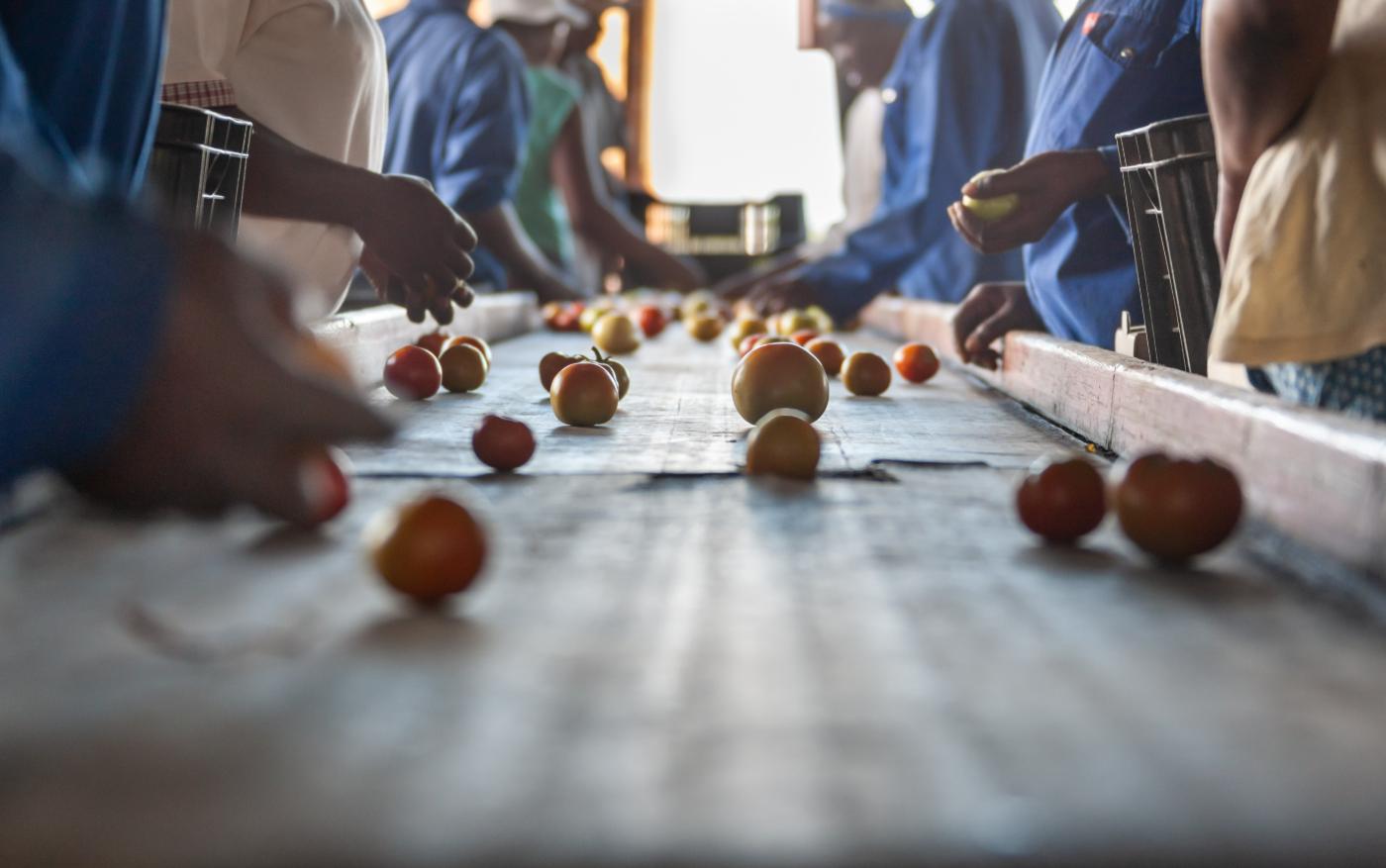 Sorting produce